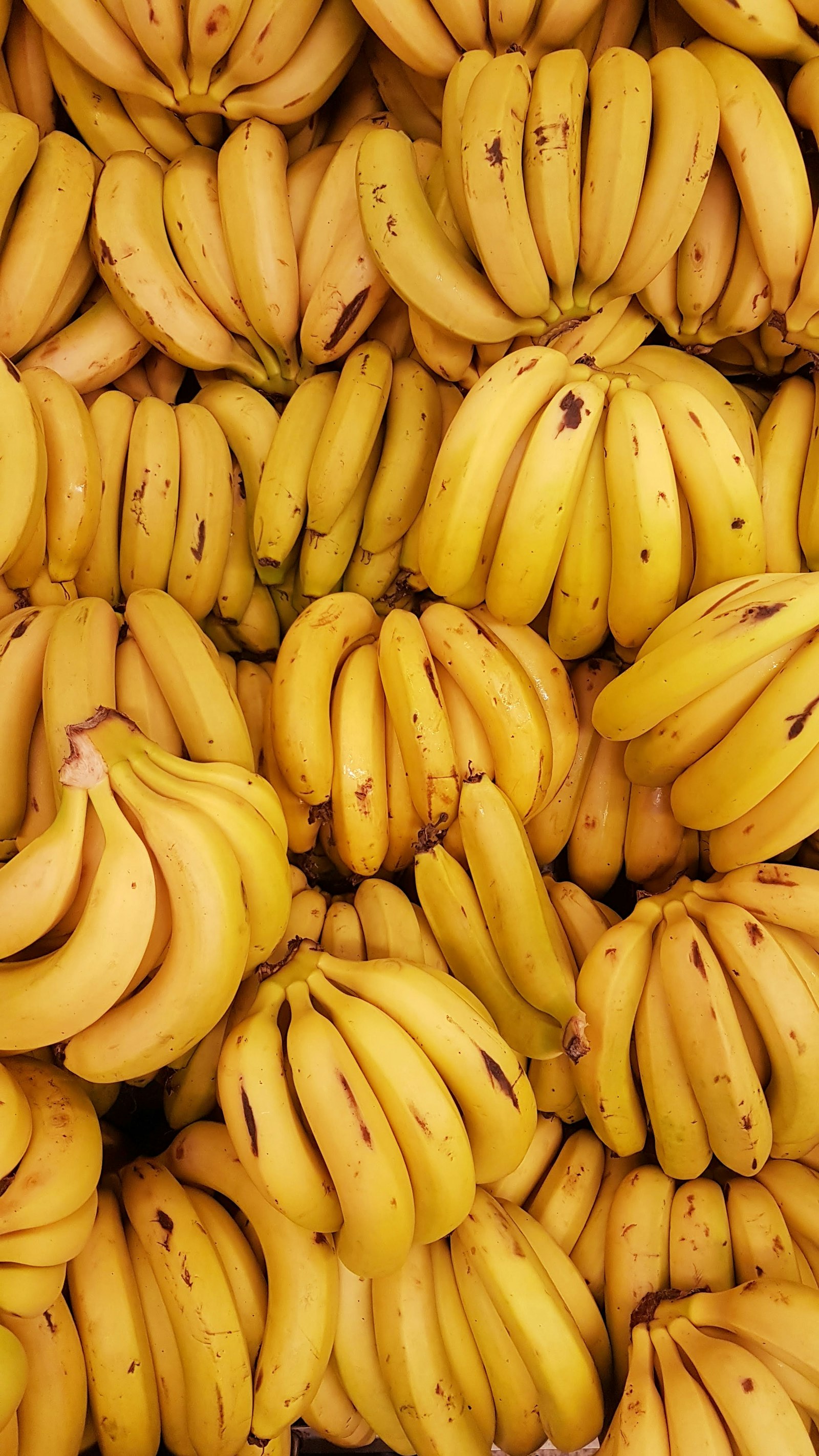 A wall of banana bunches at a market